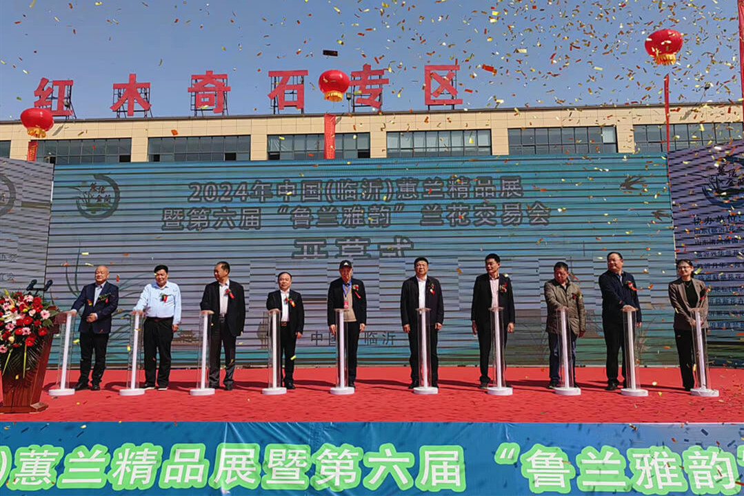 2024年中国（临沂）蕙兰精品展暨第六届“鲁兰雅韵”兰花 交易会盛大开幕